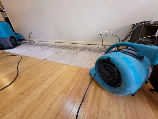 Professional Sewage Cleanup technician working in Stony Ridge, OH